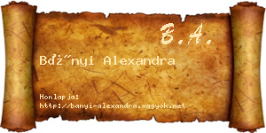 Bányi Alexandra névjegykártya